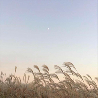 节奏爱抚 时尚炫音