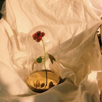 美女劲舞dj现场