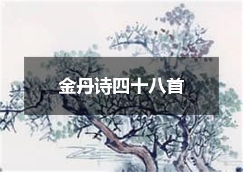 金丹诗四十八首