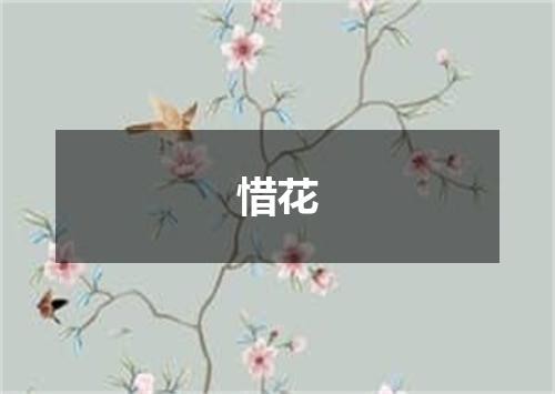 惜花