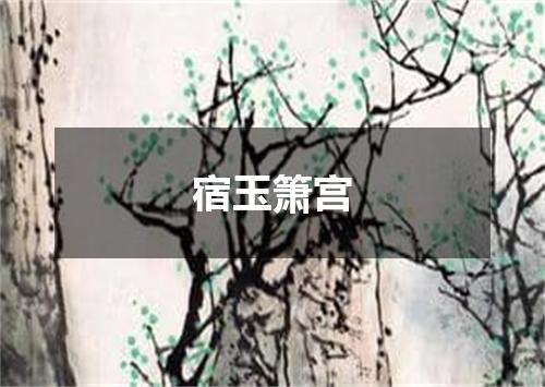 宿玉箫宫