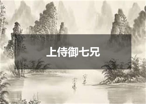 上侍御七兄