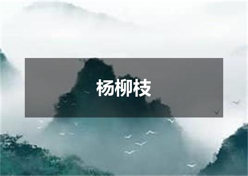杨柳枝