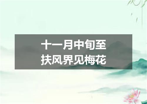 十一月中旬至扶风界见梅花