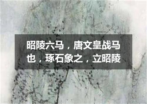 昭陵六马，唐文皇战马也，琢石象之，立昭陵