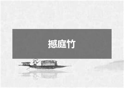 撼庭竹