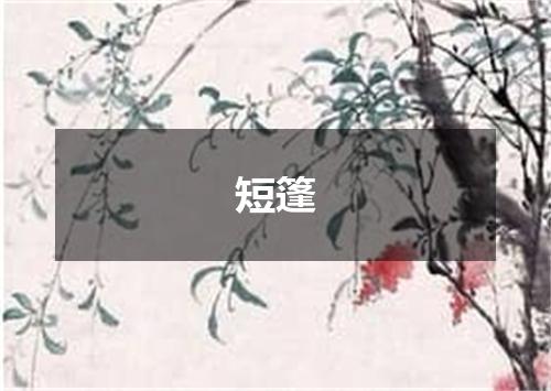 短篷