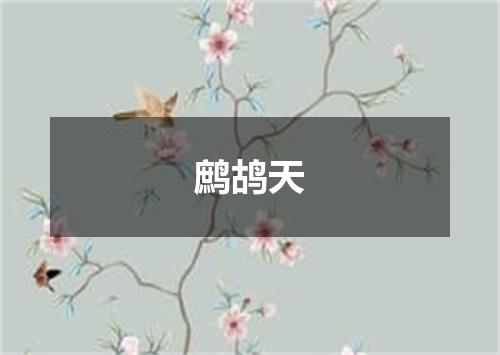 鹧鸪天