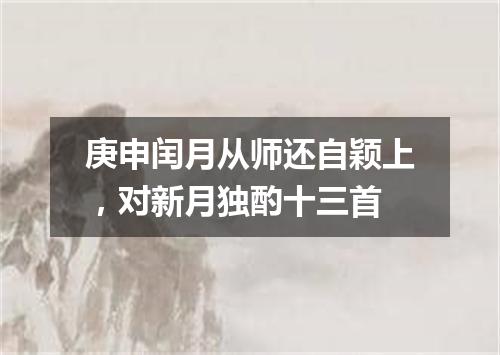 庚申闰月从师还自颖上，对新月独酌十三首