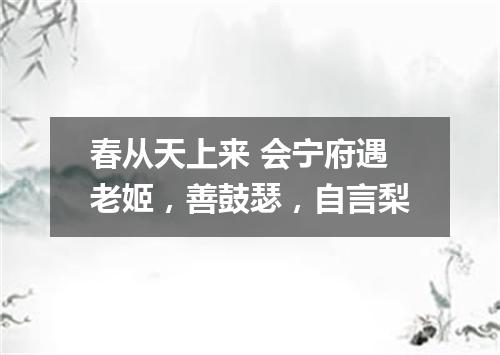 春从天上来 会宁府遇老姬，善鼓瑟，自言梨