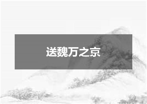 送魏万之京