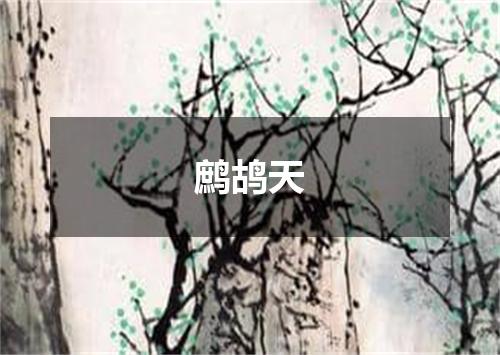 鹧鸪天