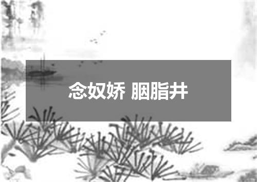 念奴娇 胭脂井
