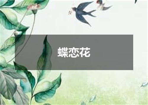 蝶恋花