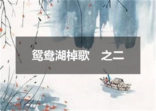 鸳鸯湖棹歌　之二