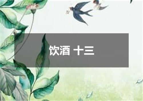 饮酒 十三