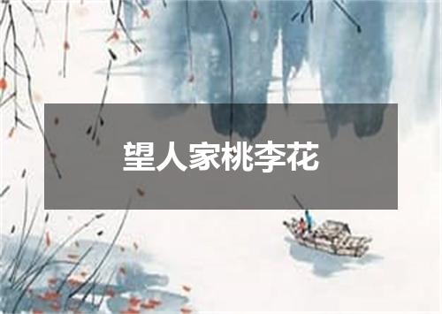 望人家桃李花