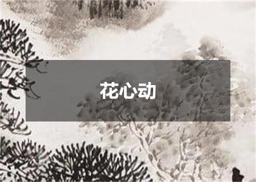 花心动