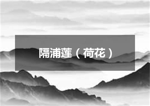 隔浦莲（荷花）