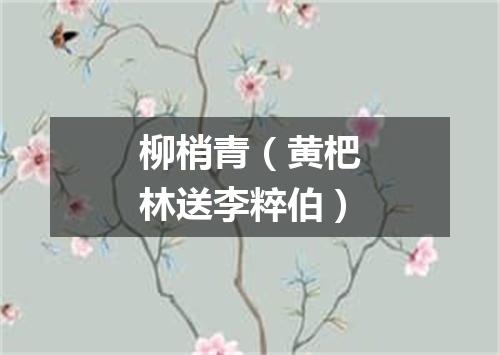 柳梢青（黄杷林送李粹伯）