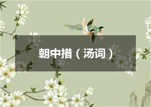 朝中措（汤词）