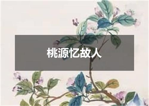 桃源忆故人