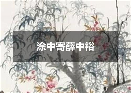 涂中寄薛中裕
