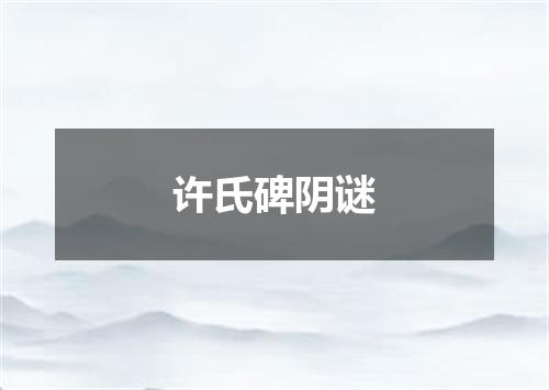 许氏碑阴谜