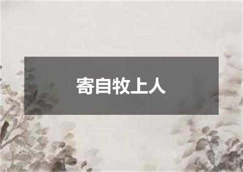 寄自牧上人