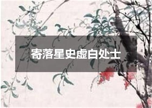 寄落星史虚白处士