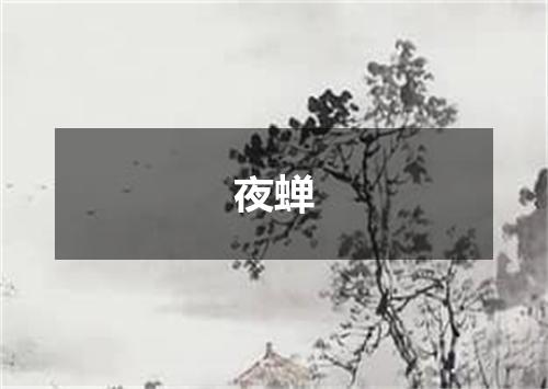 夜蝉