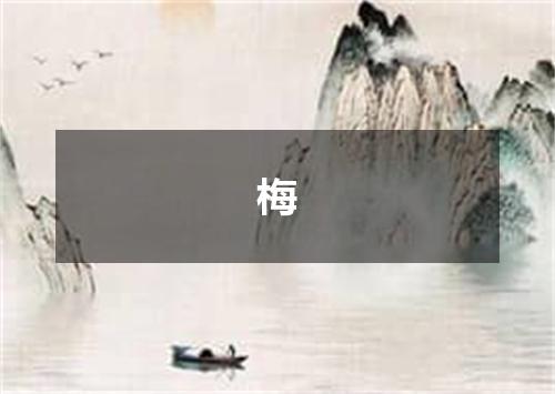 梅