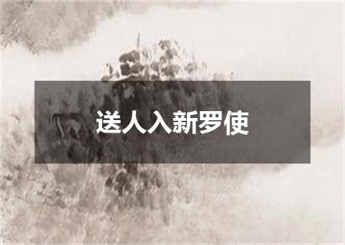 送人入新罗使
