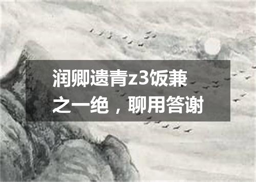 润卿遗青z3饭兼之一绝，聊用答谢