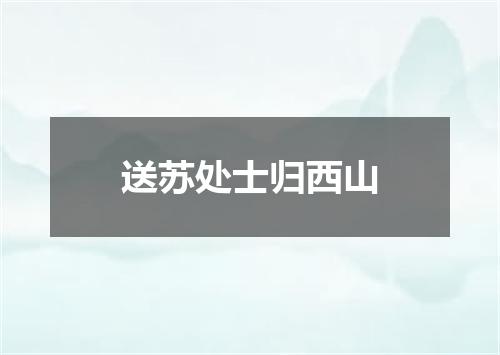 送苏处士归西山
