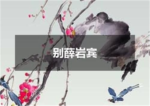 别薛岩宾