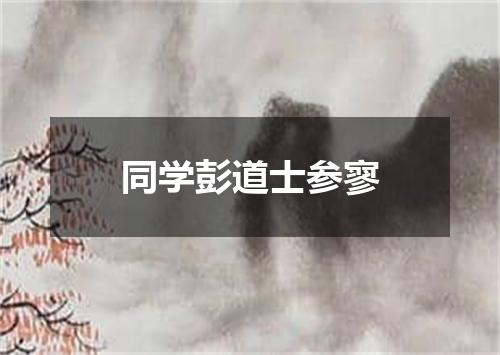 同学彭道士参寥