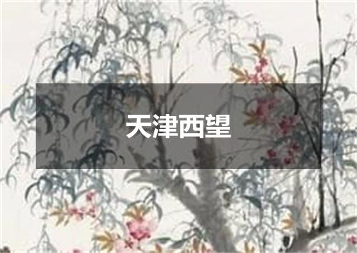 天津西望