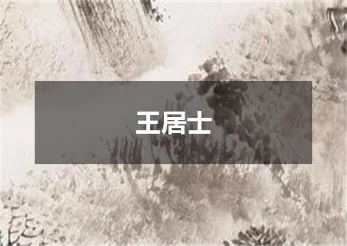 王居士
