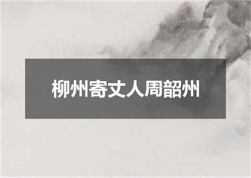 柳州寄丈人周韶州