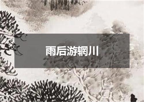 雨后游辋川