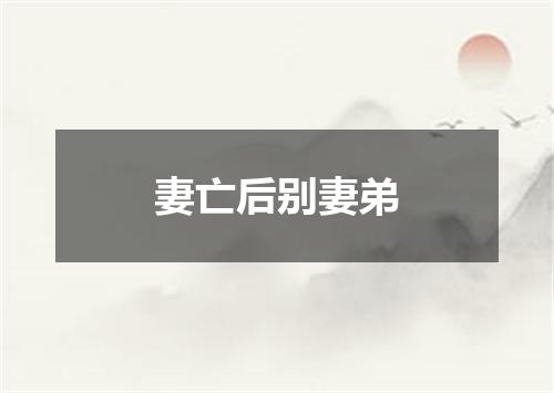 妻亡后别妻弟