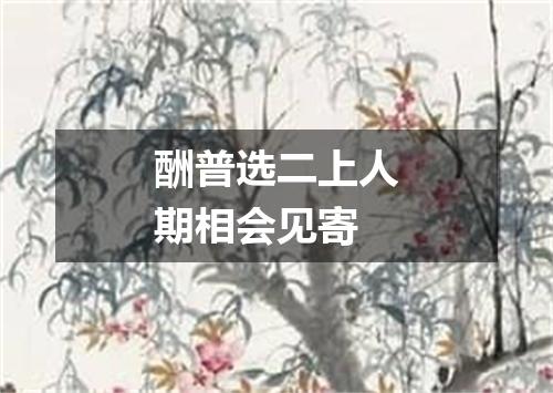 酬普选二上人期相会见寄