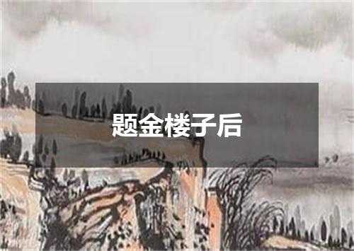 题金楼子后
