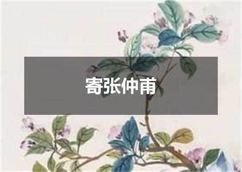 寄张仲甫