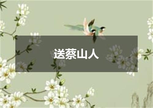 送蔡山人
