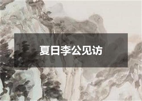 夏日李公见访