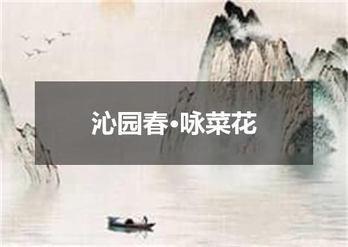 沁园春·咏菜花
