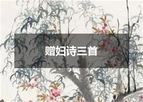 赠妇诗三首