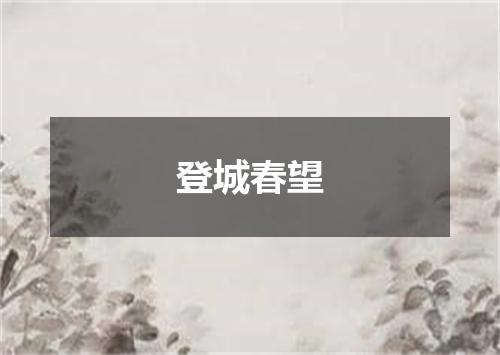 登城春望